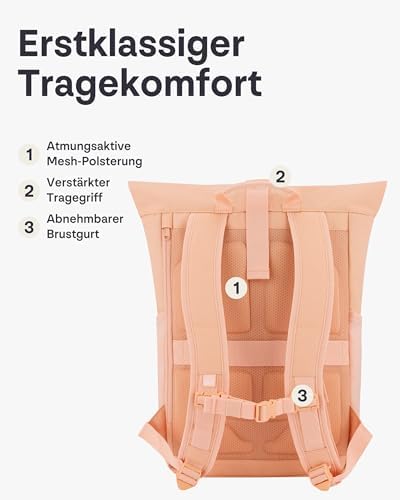 41bvegdejkl. ac .jpg Johnny Urban Rucksack Damen und Herren - Allen Medium - Wasserabweisend - Mit Laptopfach für Uni, Fahrrad und Business -